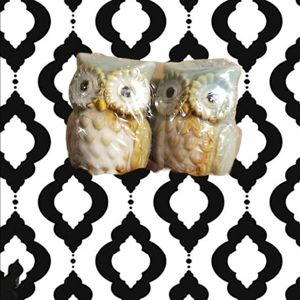 Owl salt and pepper shakers
